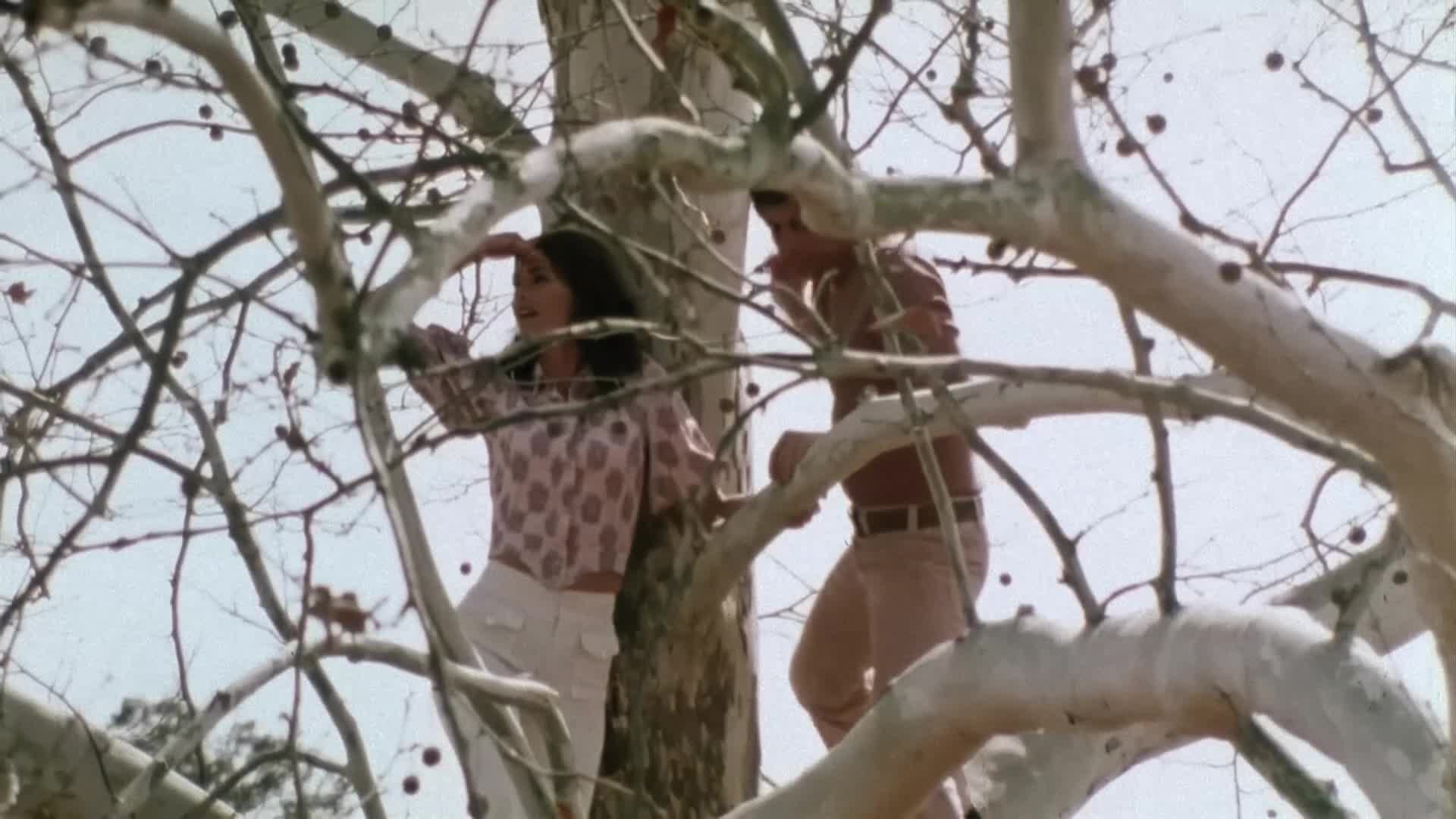 Creature Features - So sad about Gloria468