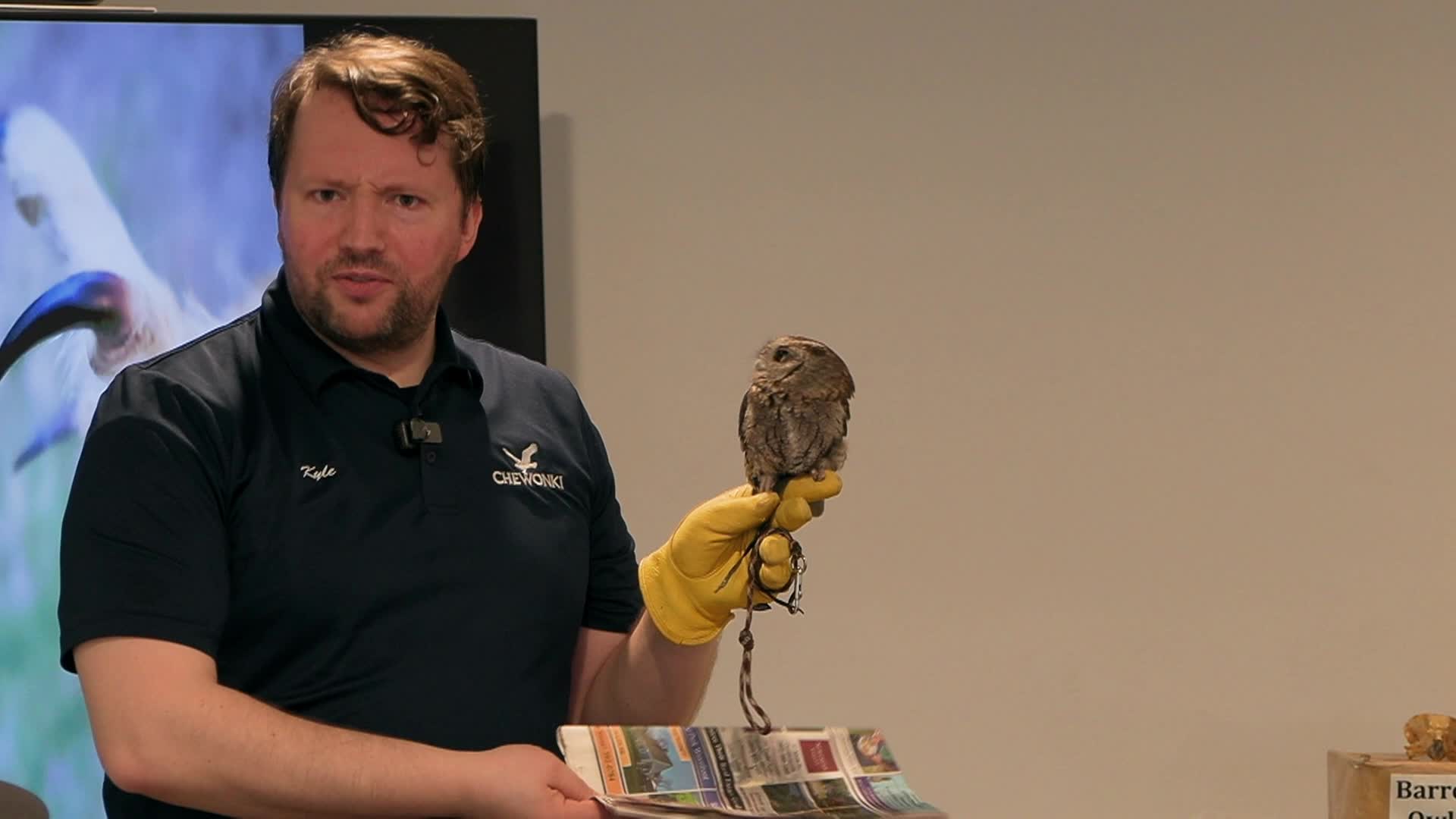 Owls Of Maine Talk Mar 12, 2026
