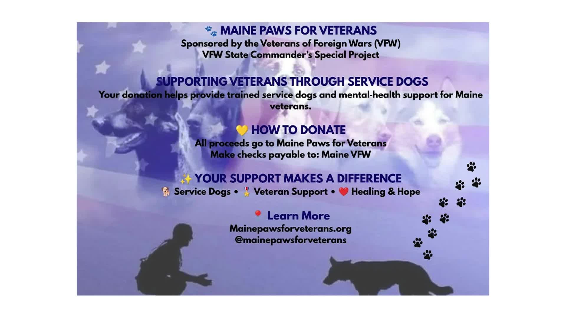 Paws for Vets PSA