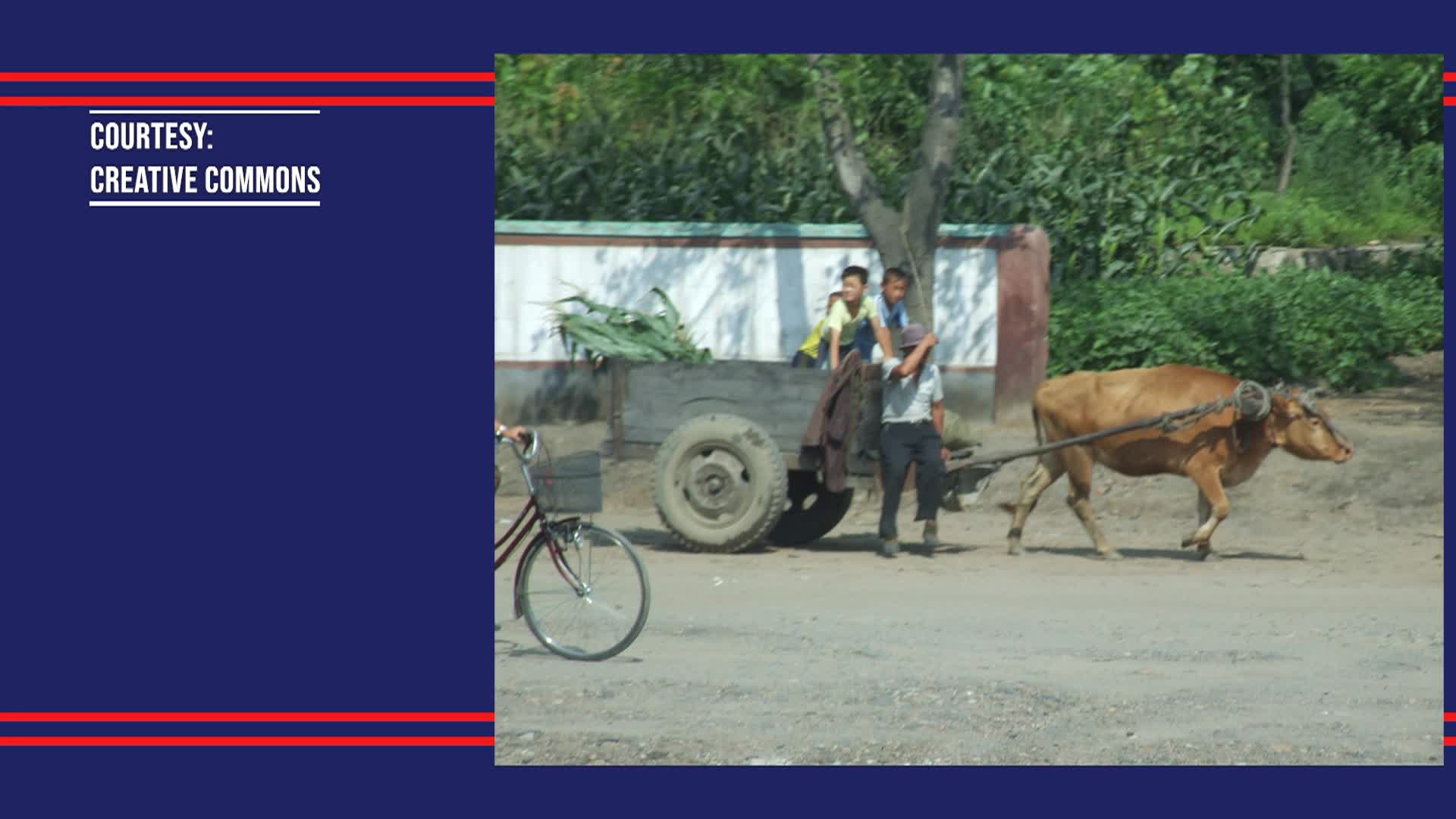 White House Chronicle - North Korea