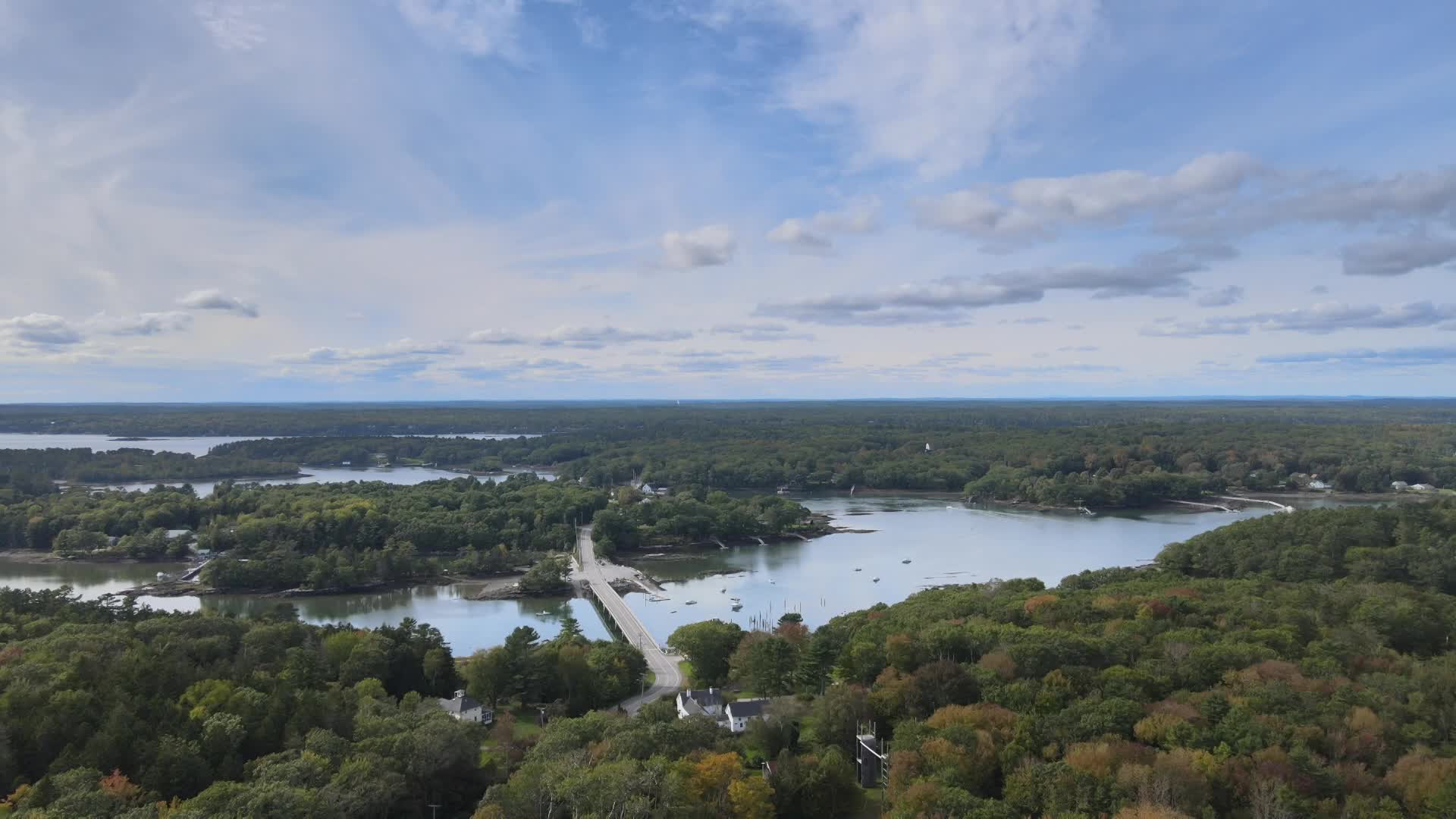 Fall Trees Flight 1 - Oct 1