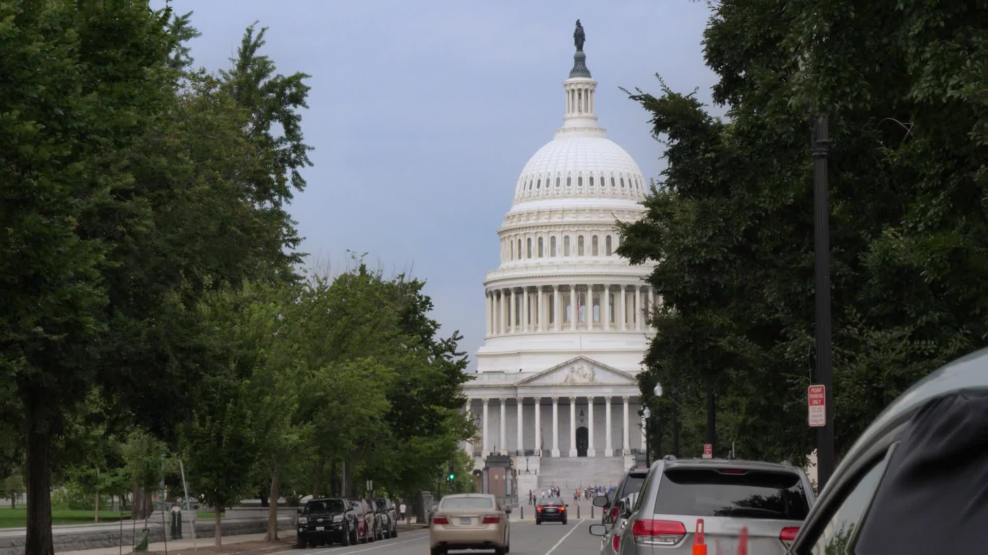 Pat Callaghan - Journalism and Politics